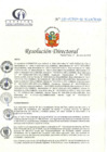 Vista preliminar de documento RD N° 21-01-2024-DE-HCLLH-MINSA