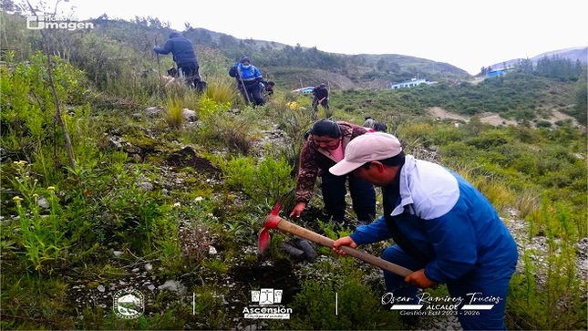 Trabajadores de limpieza pública y del área de disposición final de residuos sólidos realizan plantones considerables en cooperación al medio ambiente.
