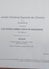 Vista preliminar de documento Credencial Del Regidor Carbo Travi De Modonese Luz Elena