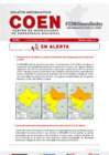 Vista preliminar de documento BOLETIN COEN N° 031