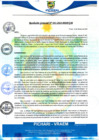Vista preliminar de documento rgm41