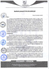 Vista preliminar de documento rgm50