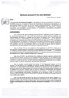 Vista preliminar de documento rgm51