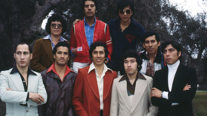 Los Mirlos