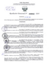Vista preliminar de documento Resolución Directoral. N° 0342 - 2024 