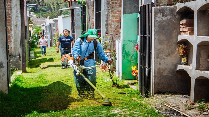 MUNICIPALIDAD DISTRITAL DE SAN JERÓNIMO REALIZA, REFORESTACIÓN, MANTENIMIENTO Y EL CORTE DEL CÉSPED EN EL INTERIOR DEL CEMENTERIO GENERAL.