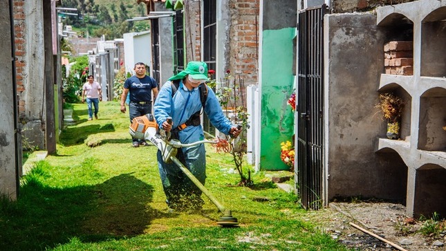 MUNICIPALIDAD DISTRITAL DE SAN JERÓNIMO REALIZA, REFORESTACIÓN, MANTENIMIENTO Y EL CORTE DEL CÉSPED EN EL INTERIOR DEL CEMENTERIO GENERAL.