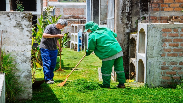 MUNICIPALIDAD DISTRITAL DE SAN JERÓNIMO REALIZA, REFORESTACIÓN, MANTENIMIENTO Y EL CORTE DEL CÉSPED EN EL INTERIOR DEL CEMENTERIO GENERAL.