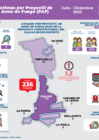 Vista preliminar de documento Víctimas de Proyectil de Arma de Fuego (PAF) (Julio - Diciembre 2023)