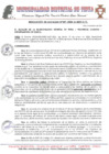 Vista preliminar de documento RA N°31