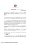 Vista preliminar de documento RD 100-2024-MINEM-DGM