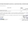 Vista preliminar de documento Aprobación de Modificaciones al Cuadro Multianual de Necesidades Nº 00000009-2024-MDSA