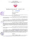 Vista preliminar de documento RD Nº000409 23-02-202305092023175525
