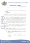 Vista preliminar de documento AC-002-2024