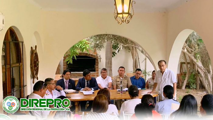 Reunión de coordinación- " VII Festival Internacional de la Vendimia Paracas 2024"