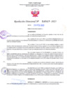 Vista preliminar de documento RD Nº000419 23-02-202306092023082014