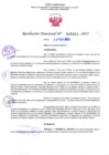 Vista preliminar de documento RD Nº000421 23-02-202306092023082131