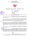 Vista preliminar de documento RD Nº000423 23-02-202306092023082259