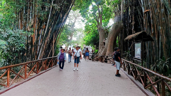 Parque de las Leyendas engríe y protege a sus animalitos de este caluroso verano