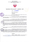 Vista preliminar de documento RD Nº000438 23-02-202306092023083823