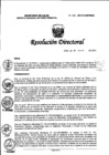 Vista preliminar de documento RD N° 018-2024-DG-INMP/MINSA