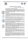 Vista preliminar de documento R.A. N°012-2024-MDSMP
