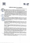 Vista preliminar de documento A.C. N°007-2024-MDSMP