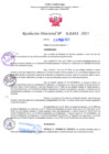 Vista preliminar de documento RD Nº000453 23-02-202306092023085047