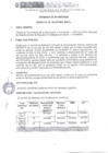 Vista preliminar de documento TDR