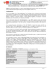 Vista preliminar de documento 300