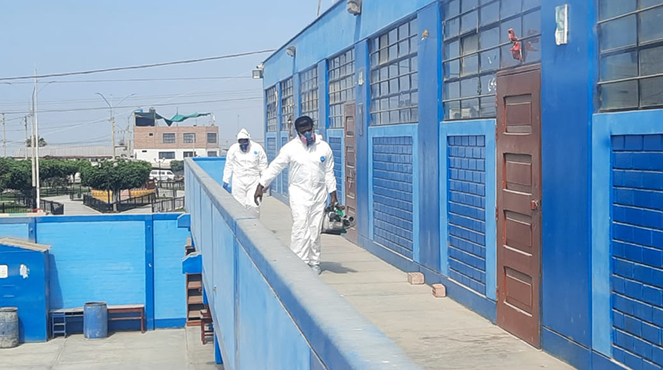 Primera jornada de fumigación y desinfección en locales escolares de Aucallama.