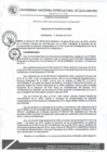 Vista preliminar de documento Resolución de Consejo de Comisión Organizadora