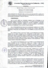 Vista preliminar de documento Resolución de Presidencia