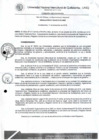 Vista preliminar de documento Resolución de Consejo de Comisión Organizadora