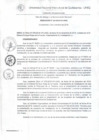Vista preliminar de documento Resolución de Consejo de Comisión Organizadora