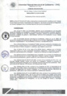 Vista preliminar de documento Resolución de Consejo de Comisión Organizadora