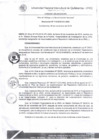 Vista preliminar de documento Resolución de Consejo de Comisión Organizadora