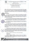 Vista preliminar de documento Resolución de Consejo de Comisión Organizadora