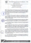 Vista preliminar de documento Resolución de Consejo de Comisión Organizadora