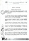 Vista preliminar de documento Resolución de Consejo de Comisión Organizadora