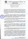 Vista preliminar de documento Resolución de Consejo de Comisión Organizadora