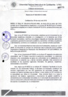 Vista preliminar de documento Resolución de Consejo de Comisión Organizadora