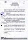 Vista preliminar de documento Resolución de Consejo de Comisión Organizadora