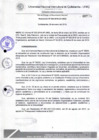 Vista preliminar de documento Resolución de Consejo de Comisión Organizadora