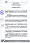 Vista preliminar de documento Resolución de Consejo de Comisión Organizadora