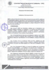 Vista preliminar de documento Resolución de Consejo de Comisión Organizadora