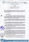 Vista preliminar de documento Resolución de Presidencia