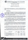 Vista preliminar de documento Resolución de Consejo de Comisión Organizadora