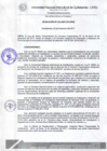 Vista preliminar de documento Resolución de Consejo de Comisión Organizadora