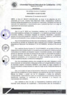 Vista preliminar de documento Resolución de Consejo de Comisión Organizadora
